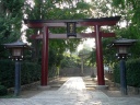 tokyo-nezu jinja : torii